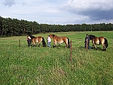 Bild 029